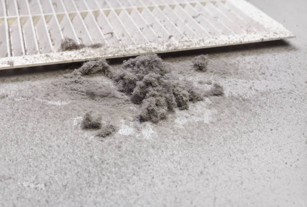 Reliable Woodbine, IA Airduct Cleaning Solutions